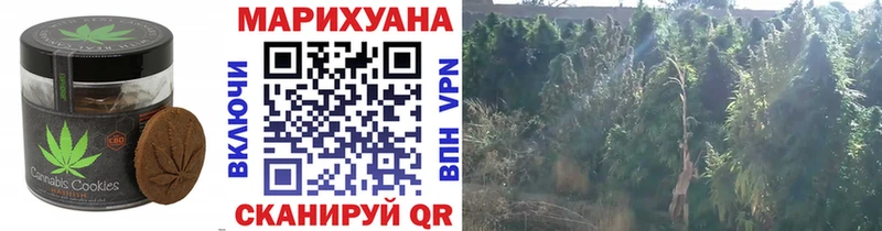 Еда ТГК марихуана  где найти   Ессентукская 
