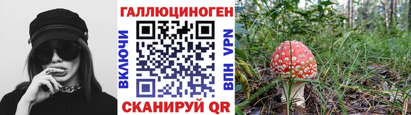 Псилоцибиновые грибы Psilocybe  это как зайти  Ессентукская 